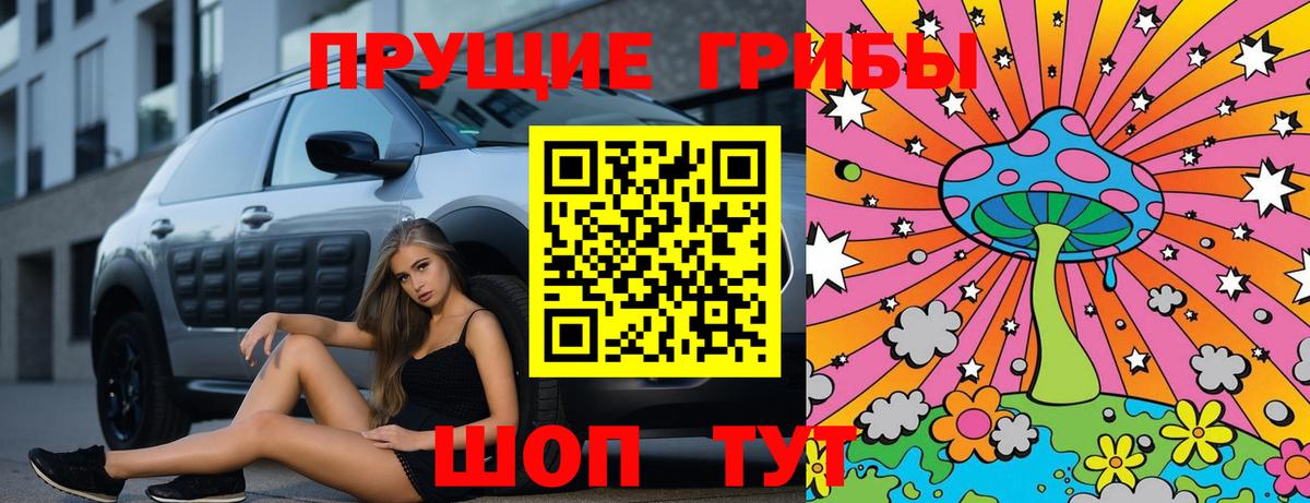 Псилоцибиновые грибы Psilocybe Новокубанск