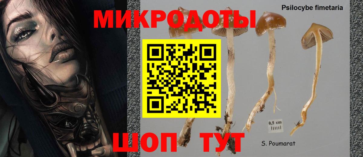 Новокубанск  Галлюциногенные грибы Psilocybe  Вход с VPN 